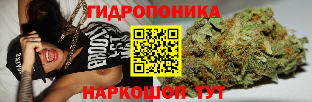 Бошки марихуана марихуана  Бошки Шишки Amnesia  Петровск  Вход с VPN  Марихуана гибрид 